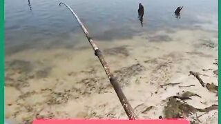 PEGOU UMA TRAIRA BOA