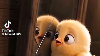The Little Chick Who Got Lost - A Mother's Love Story That Made Me Cry 😭