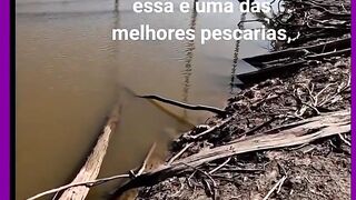 PESCARIA DE TRAIRA