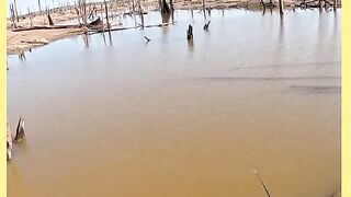 TUCUNARÉ QUEBROU A VARA
