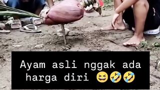 When Kids Have a Unique Pet Chicken 🐔😂