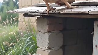Kelakuan si oyen emang beda