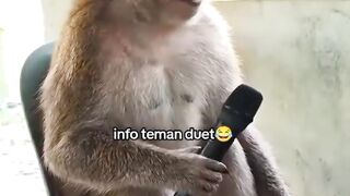 Cari pasangan duet
