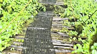 Suasana ta bisa ku ungkapkan dengan kata-kata