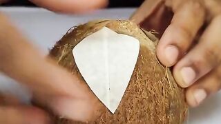 Making decorations from coconut shells