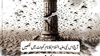 مچھر کس نبی کے لشکر تھے