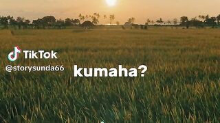 Kata kata sunda 2