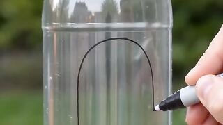 Bird Feeder Paradise