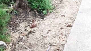 Jalanan sepi 2