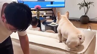 Funny videos
