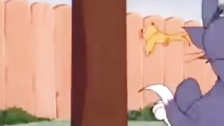 Jerry Climbs Higher and Higher… Tom Makes a BIG Mistake! 😂🪜