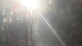 Just walking in forest