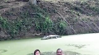 Alligator 🐊 comedy 🤣