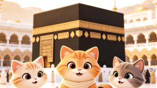 seekor kucing