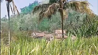 Pemandangan indah kampung di atas bukit
