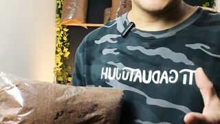 Cocopeat oengganti tanah subur