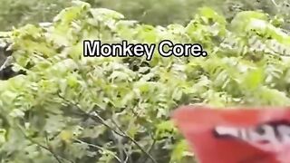 Hahaaa monkey Core