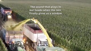 Foresight Farms