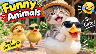 Get ready to smile and laugh with these adorable and funny animals! 🐾😂 From silly moments to cute surprises, this video is full of fun, joy,