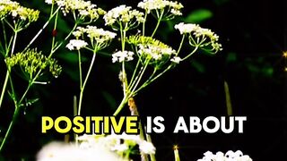Always believe samething