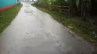 Bristi vaja kama
