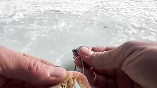 ​Mancing Cuma Modal Ranting, Hasilnya Bikin Geleng-Geleng Kepala!