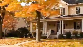 The New York Home drive