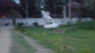 সাথী পার্কের