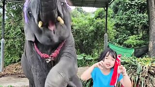 This Elephant Dancing With A Little Girl Is The Cutest Thing Ever! 🐘💃