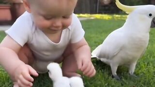 Cute baby fun 3
