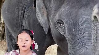 Trunk Kisses For Sweet Oranges! The Purest Friendship on Earth 🐘🍊