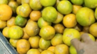 Vlog Cari Buah Jeruk Di Toko Bazar