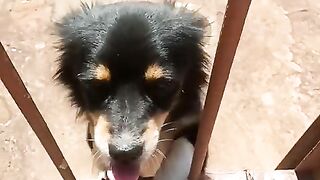 Apareceu aqui