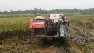 Rice cutting machine video