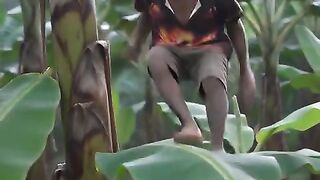 Ninja of png