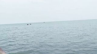 Laut bebas