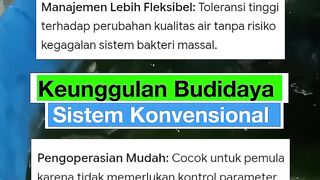 Advantages of Conventional Catfish Cultivation System