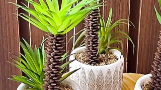Indoor plants and pot set