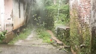 Rain in the house