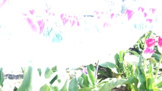 Nature video