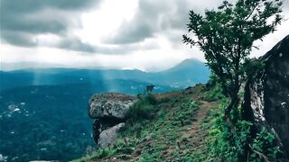 Nature video