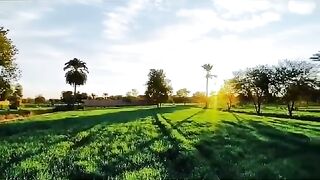 Nature video