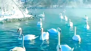 Beautiful nature | beautiful view | subscribe