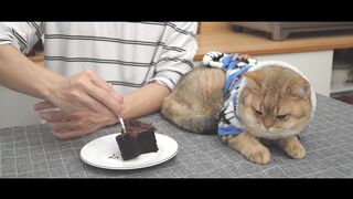 Cake ????