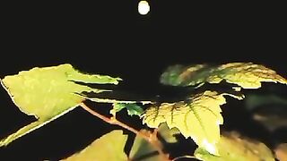 Bèautifull sons with lyrics