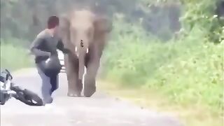 Funny memes ???? funny memes Pakistan