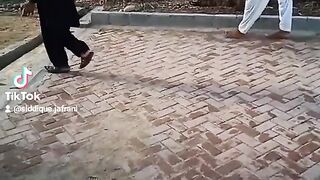 Funny video2023funny video 2022 funny video 2021