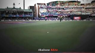 shaheen shah afradi