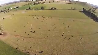 Agriculture