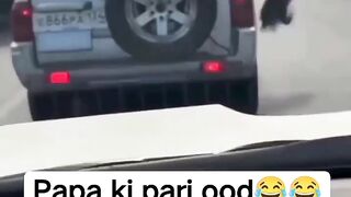 Funny video